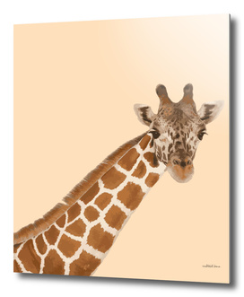Giraffe Series 3