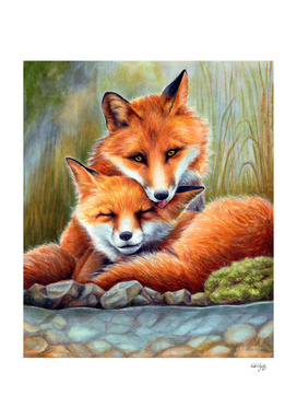 Enamored Foxes