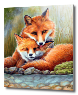 Enamored Foxes