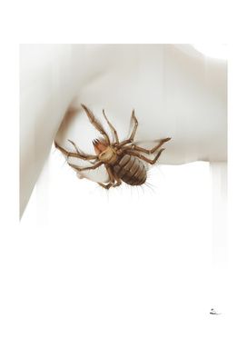 Arachnophobia III