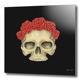 A Human Skull and Roses
