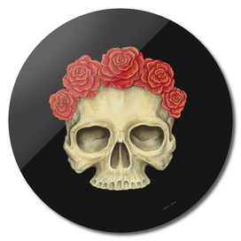 A Human Skull and Roses