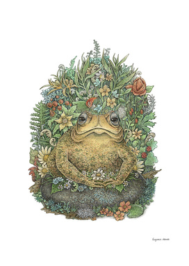 Her Majesty Toad - Colorful Version