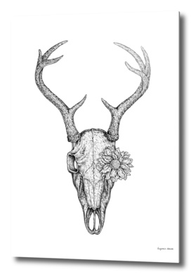 Deer Skull and Flower