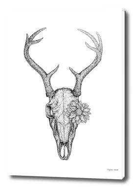 Deer Skull and Flower