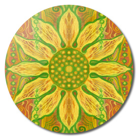 Sun Flower / Sunflower