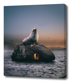 seal at sunset (the guardian 2)