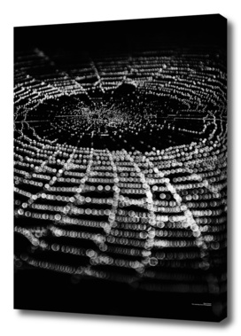 Spiderweb No 1