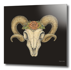 Ram Skull In A Floral Crown