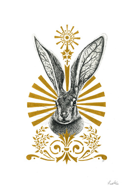 Beasts of the Forest: Hare