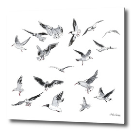 Seagulls pattern