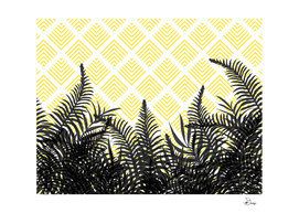 Tropical Ferns on Pattern