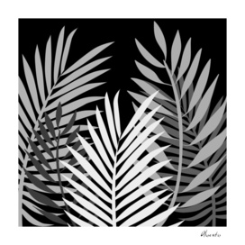 TROPICAL PALM LEAVES