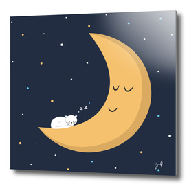 The Moon and The Cat