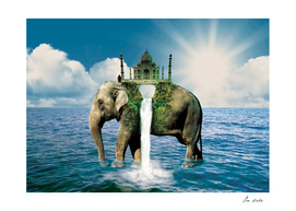 Elephant in the sea