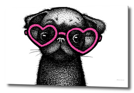 Pug Puppy Portrait in Pink Glasses