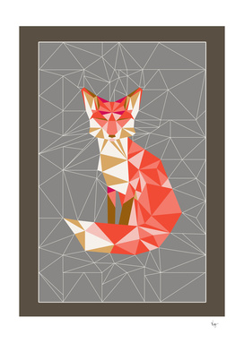 fox geodesic grey