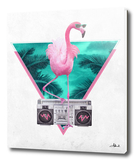 Miami Flamingo