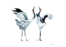 Cranes watercolor