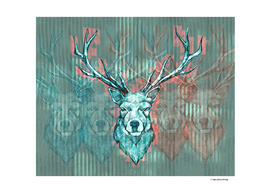 Long horns deer illustration