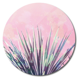 Vintage Yucca Palm - Pink