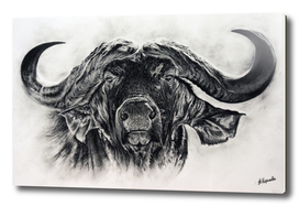Big buffalo in charcoal