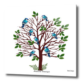 blue jays on a tree
