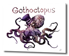 Gothoctopus