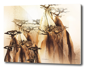 Kumpul Baobab