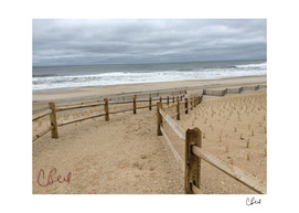 Beach Fences