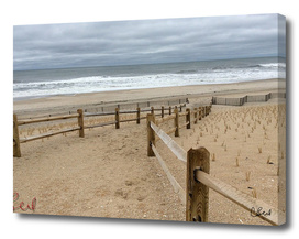 Beach Fences