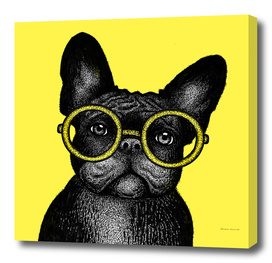 French bulldog in round glasses - portrait on yellow