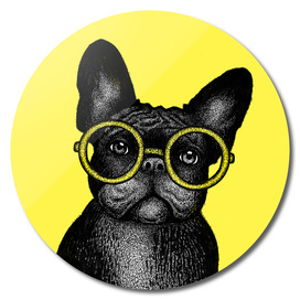 French bulldog in round glasses - portrait on yellow