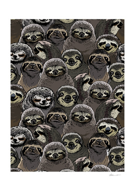 Social Sloths