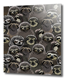Social Sloths
