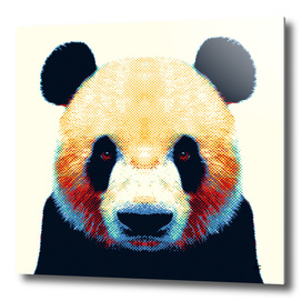 Panda - Colorful Animals