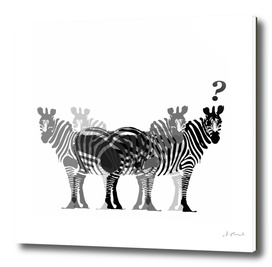 zebras?