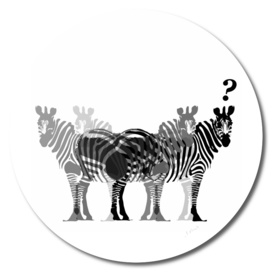 zebras?
