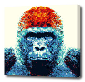 Gorilla - Colorful Animals