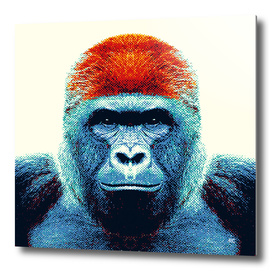 Gorilla - Colorful Animals