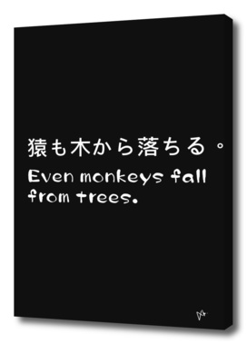 Even monkeys fall from trees.