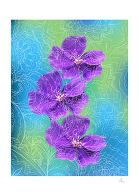 three violet zen flowers
