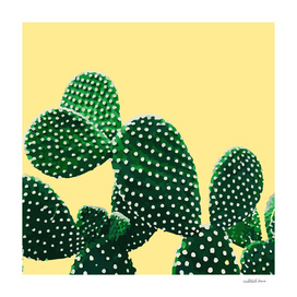 Cacti Plant (yellow)