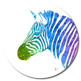 Zebra | Rainbow Series | Pop Art