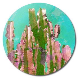 Collage Cactus