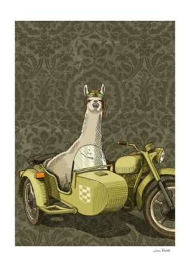 Sidecar Llama