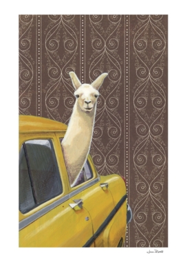 Taxi Llama