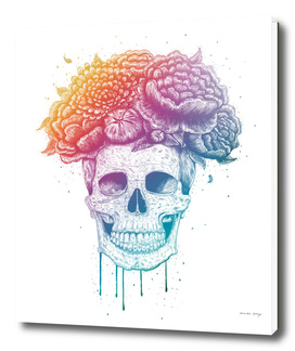 Colorful skull