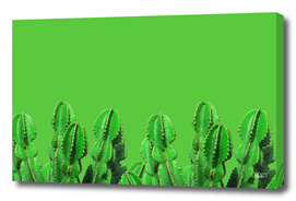 Green Cactus