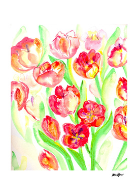 Mothers Day Tulips